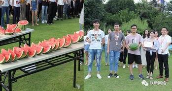 吃瓜比赛队名,揭秘吃瓜比赛队名背后的故事